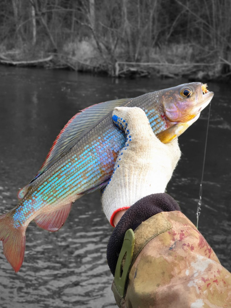 20191022_140345.jpg