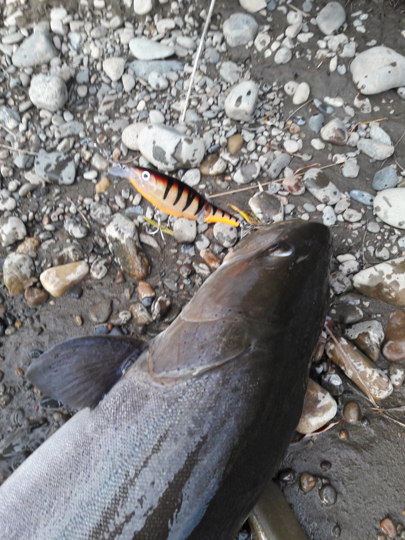 20191022_154842.jpg