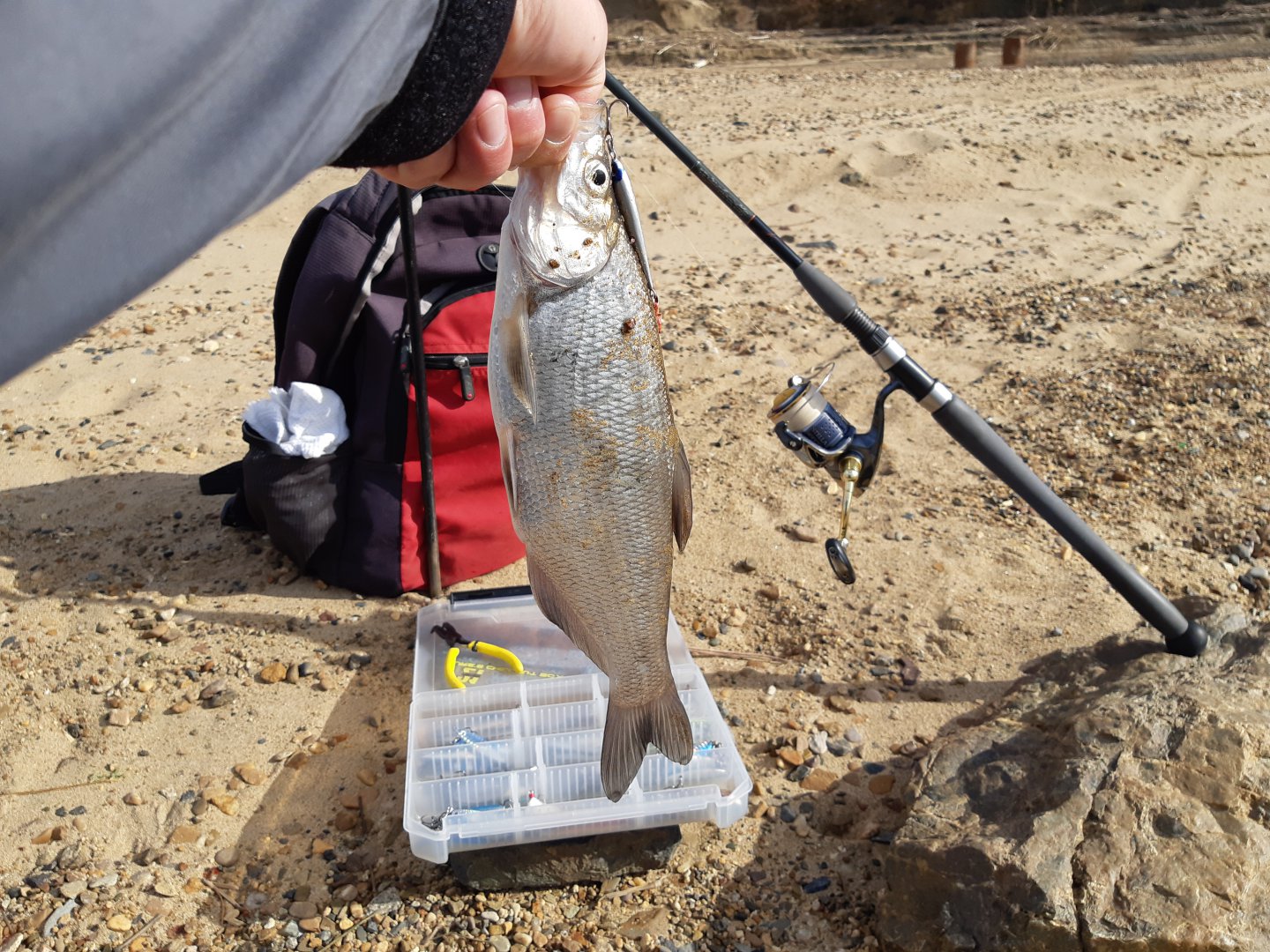 20191025_124832.jpg