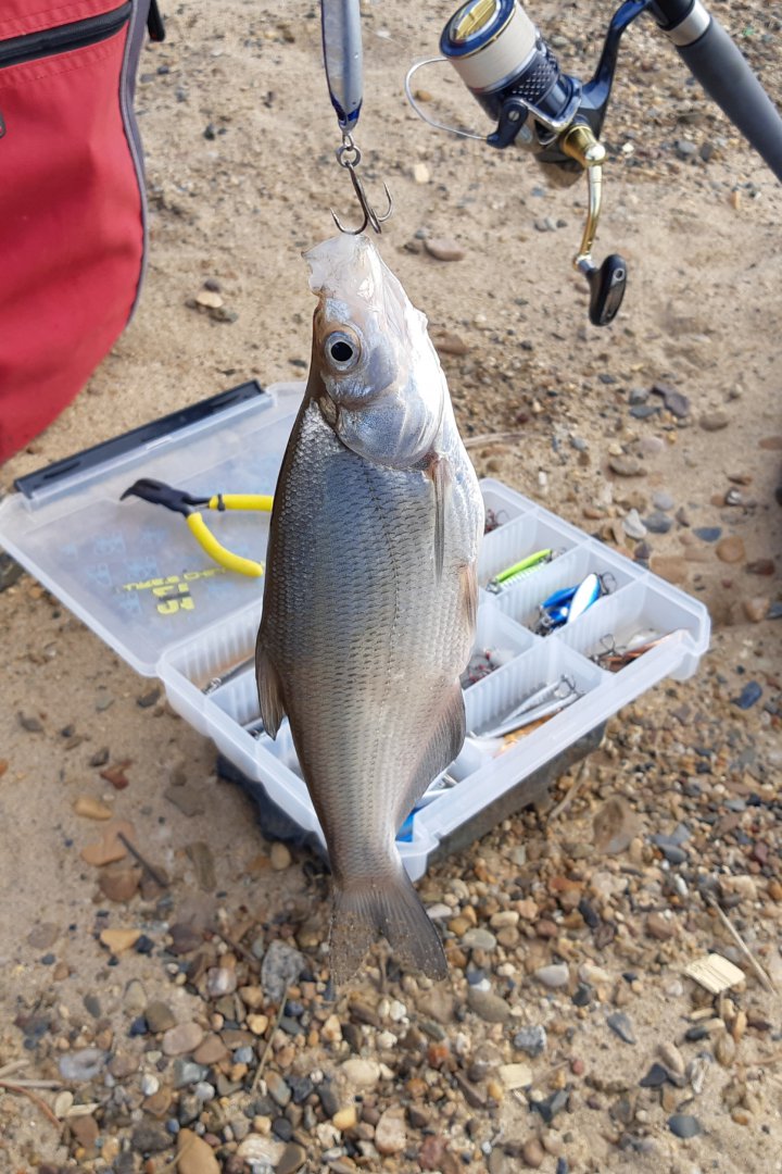 20191025_191614.jpg