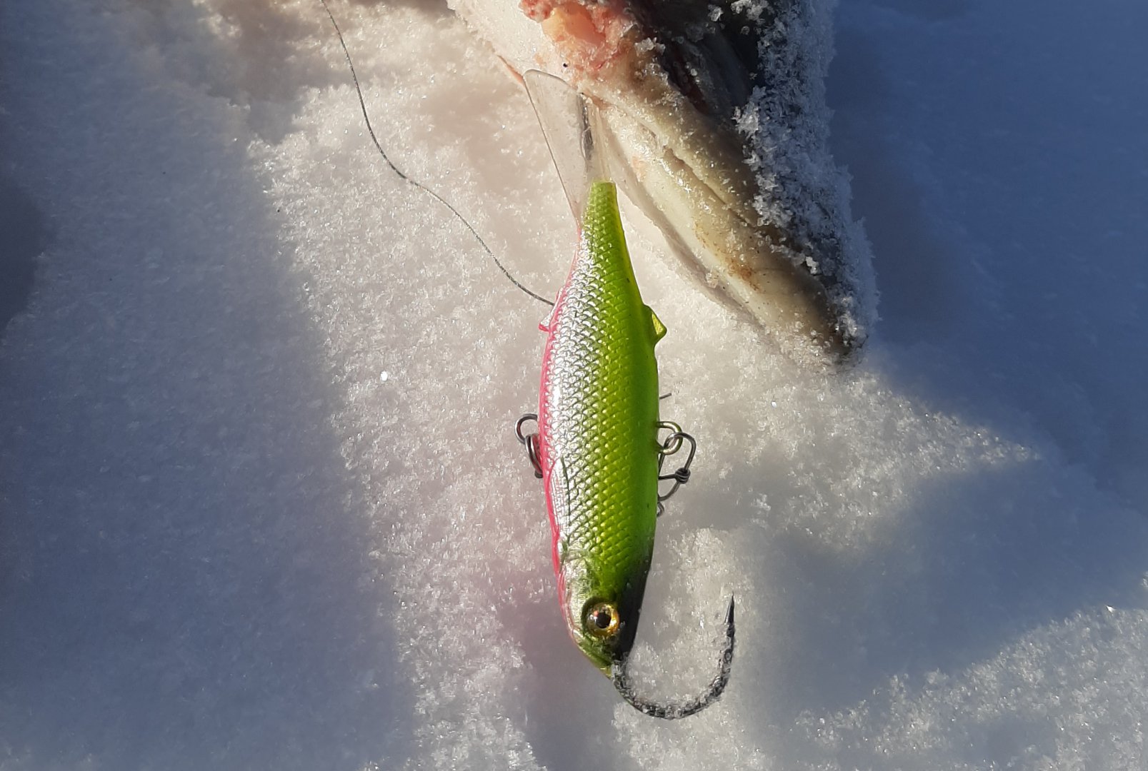 20191214_210046.jpg