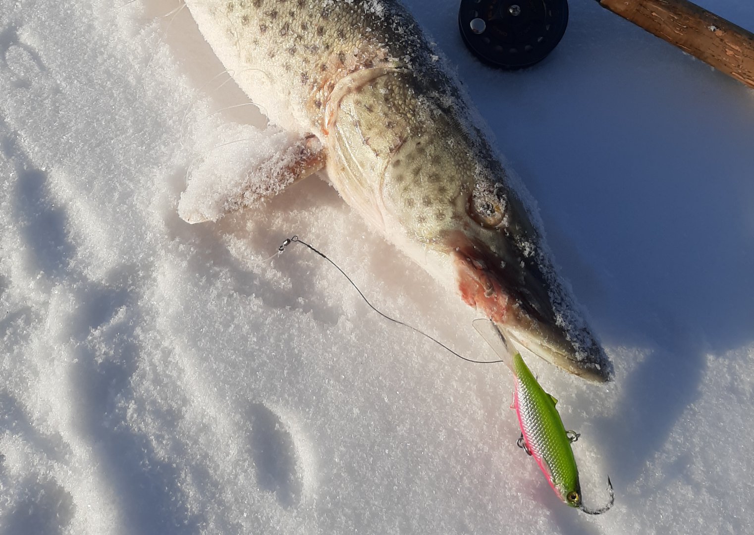 20191214_210115.jpg