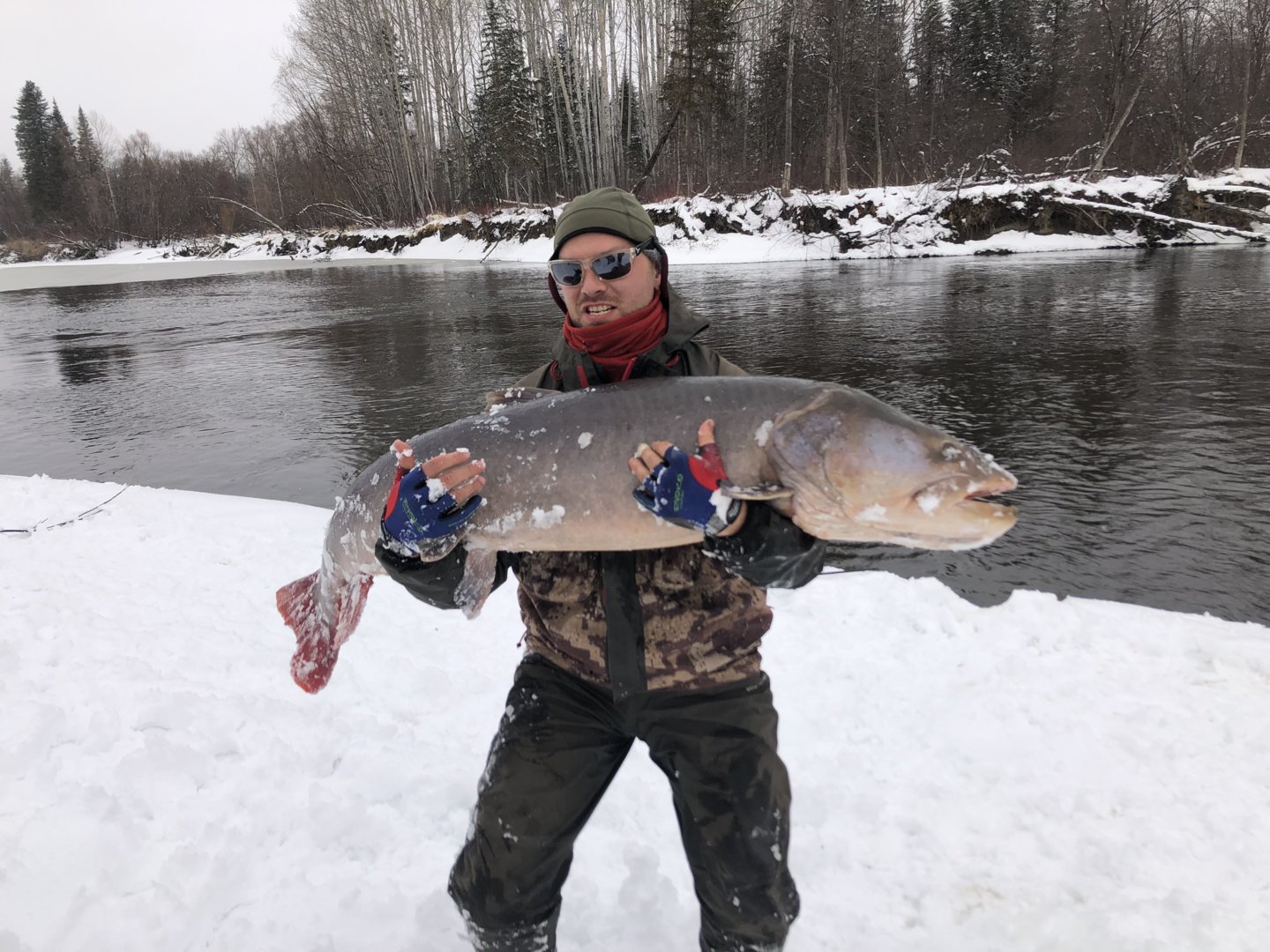 2020-04-25 12.20.36.jpeg