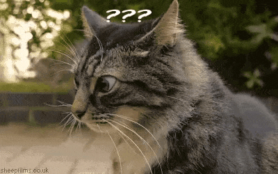 20200106_194930.gif