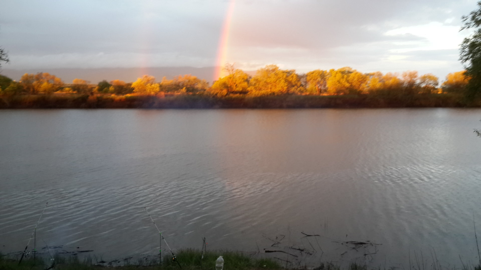 20200517_002239.jpg