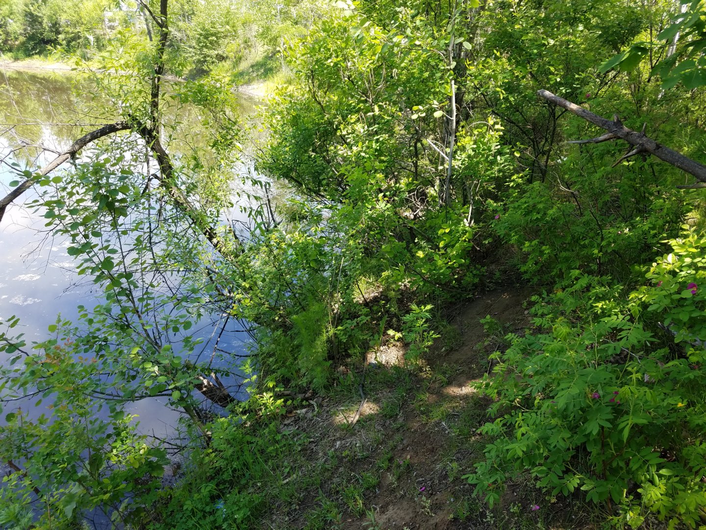 20200613_113701-1.jpg