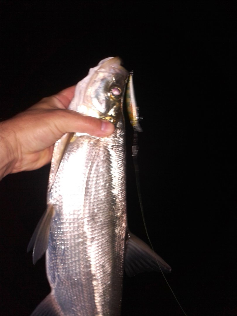 20200701_221015.jpg