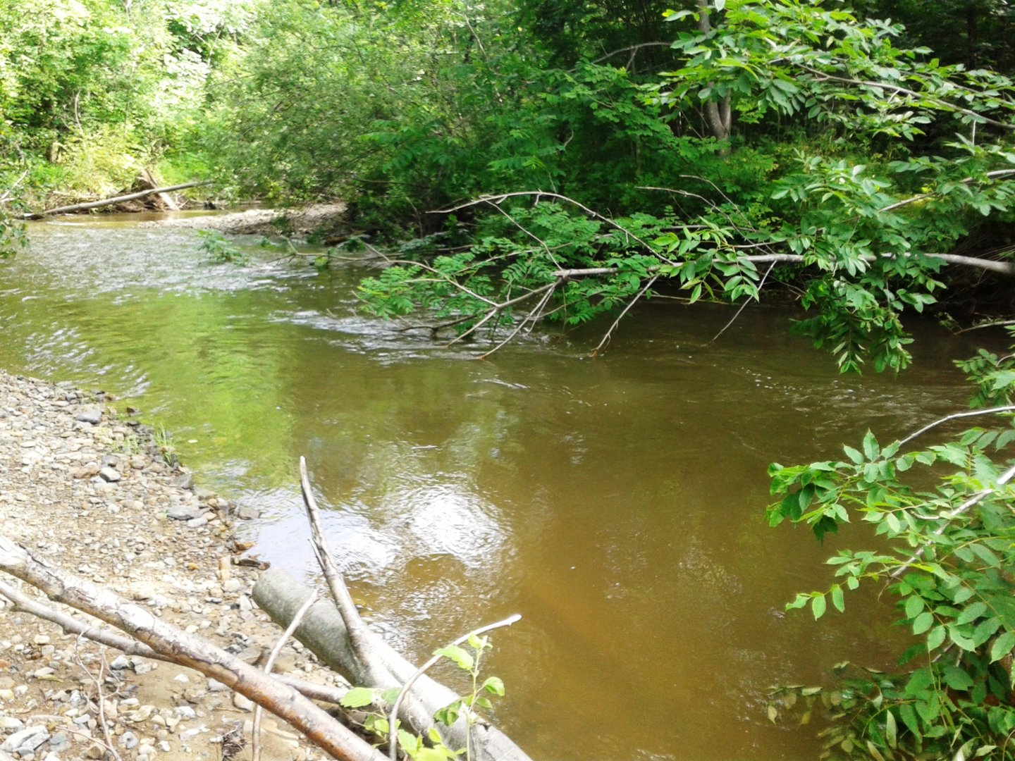 20200710_090005.jpg
