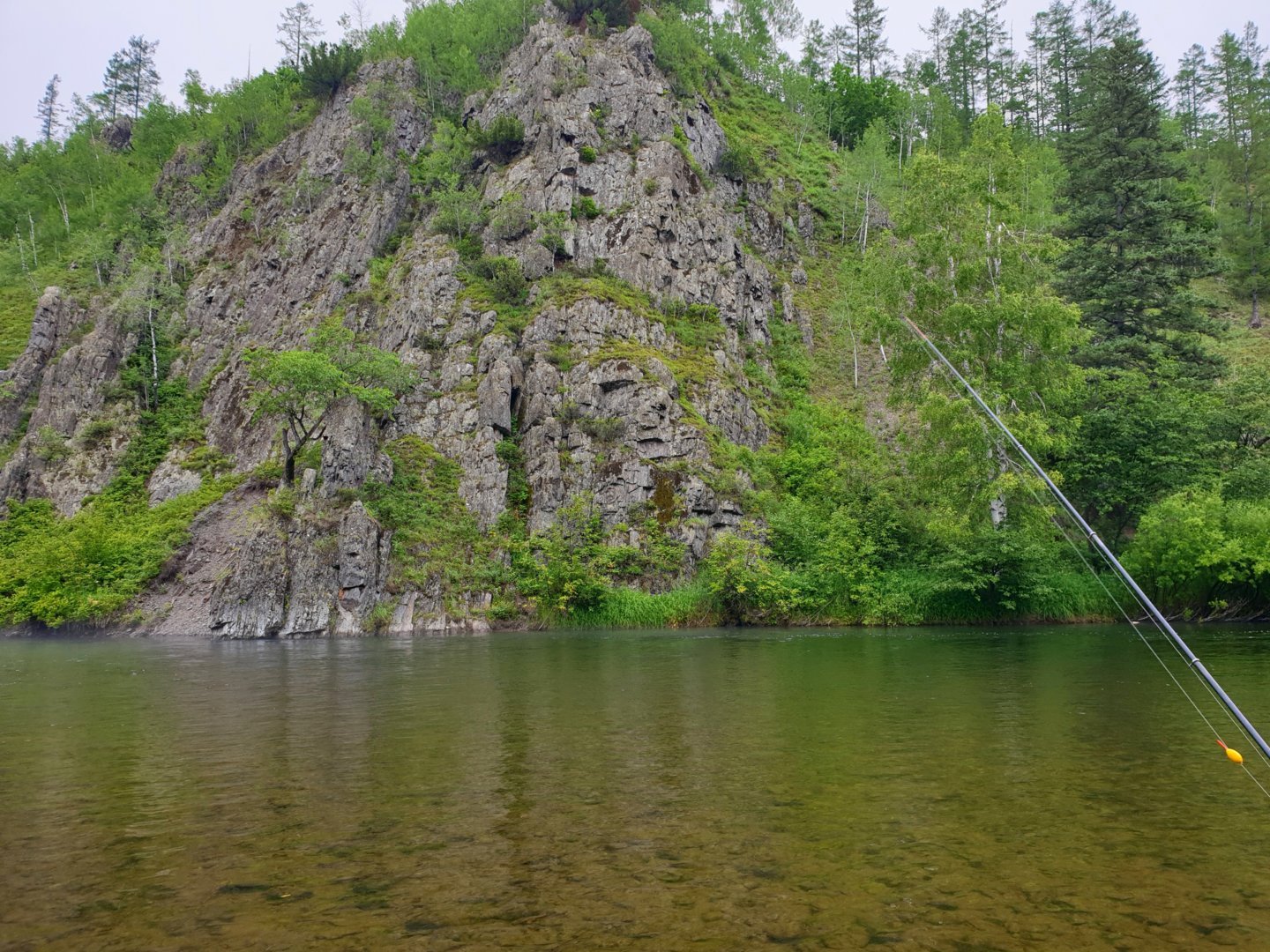 20200720_171603.jpg