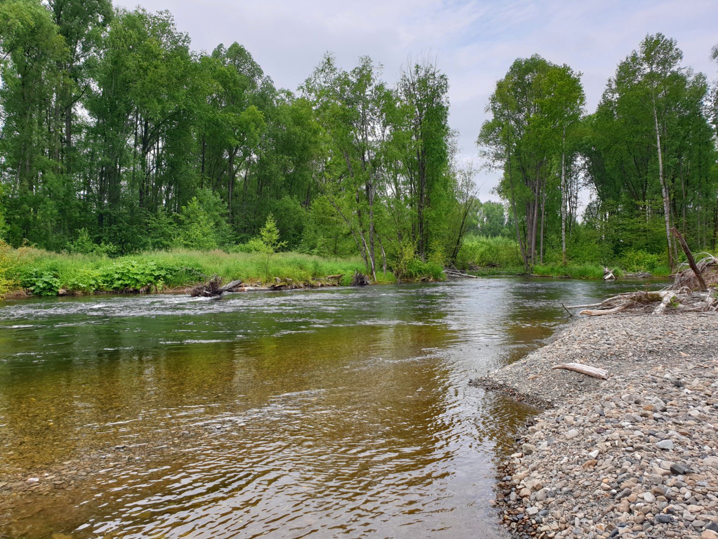 20200720_171637.jpg