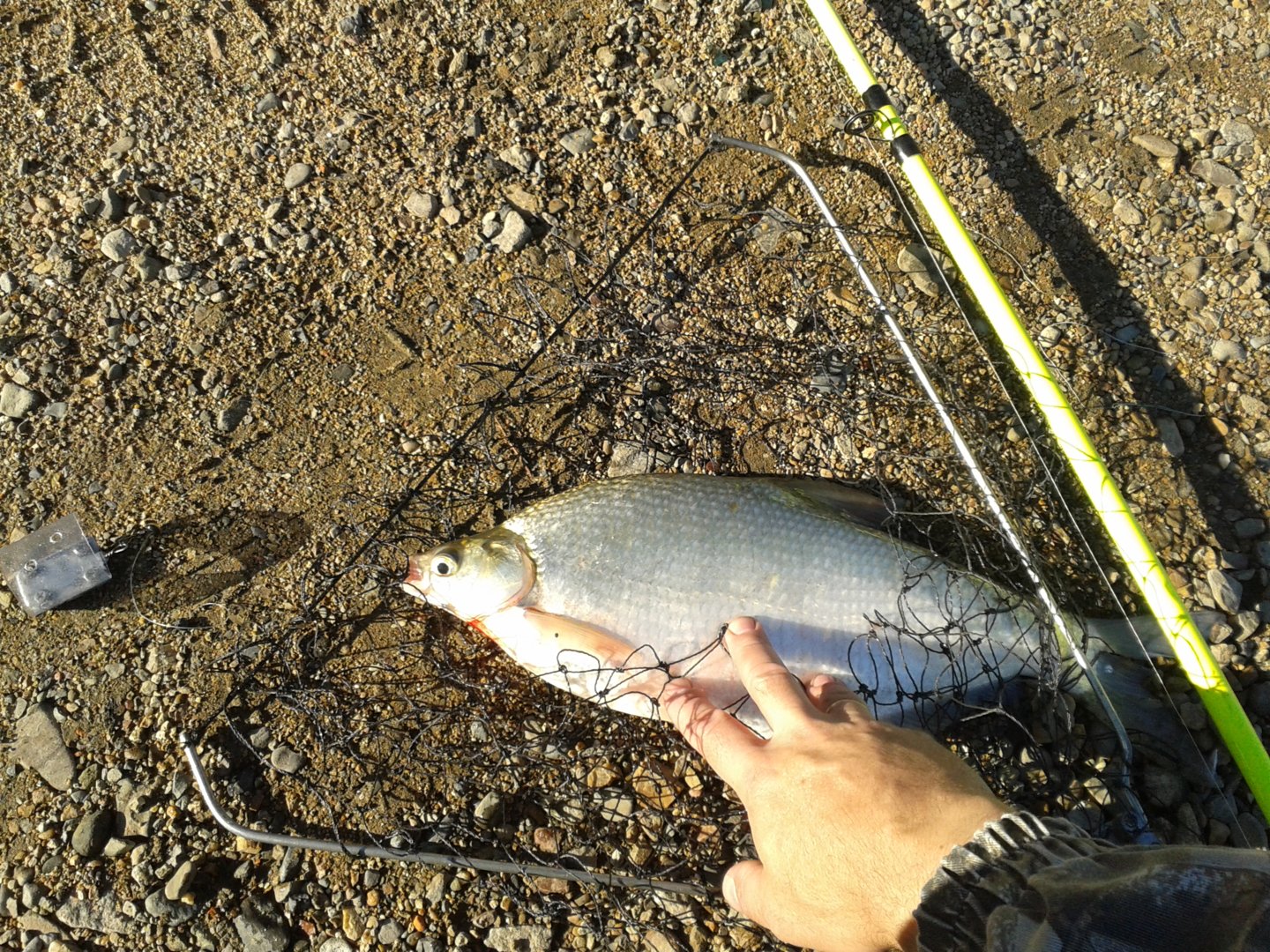 20200725_081241.jpg