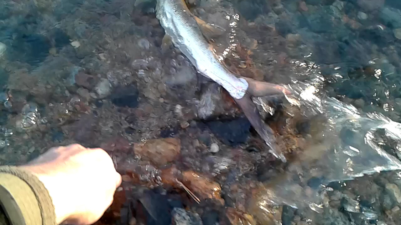 20200807_200041.jpg