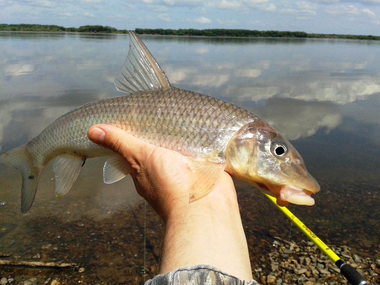 20200808_114416.jpg