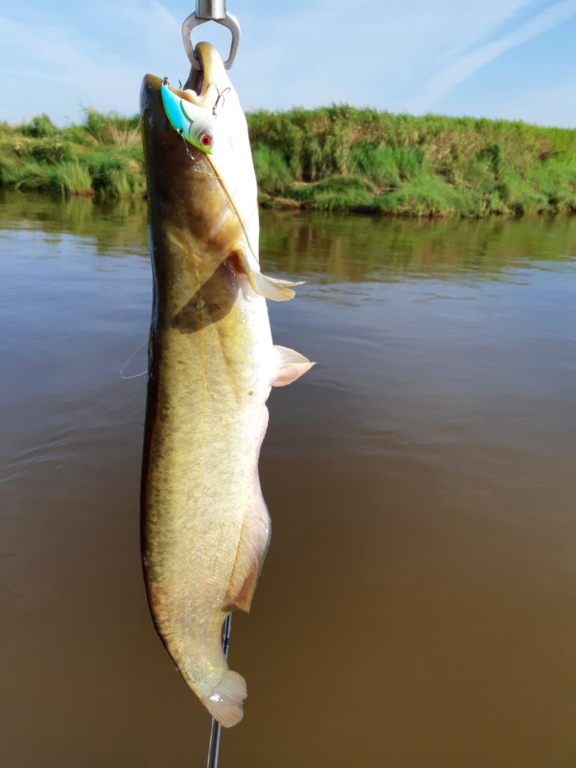 20200808_3.jpg