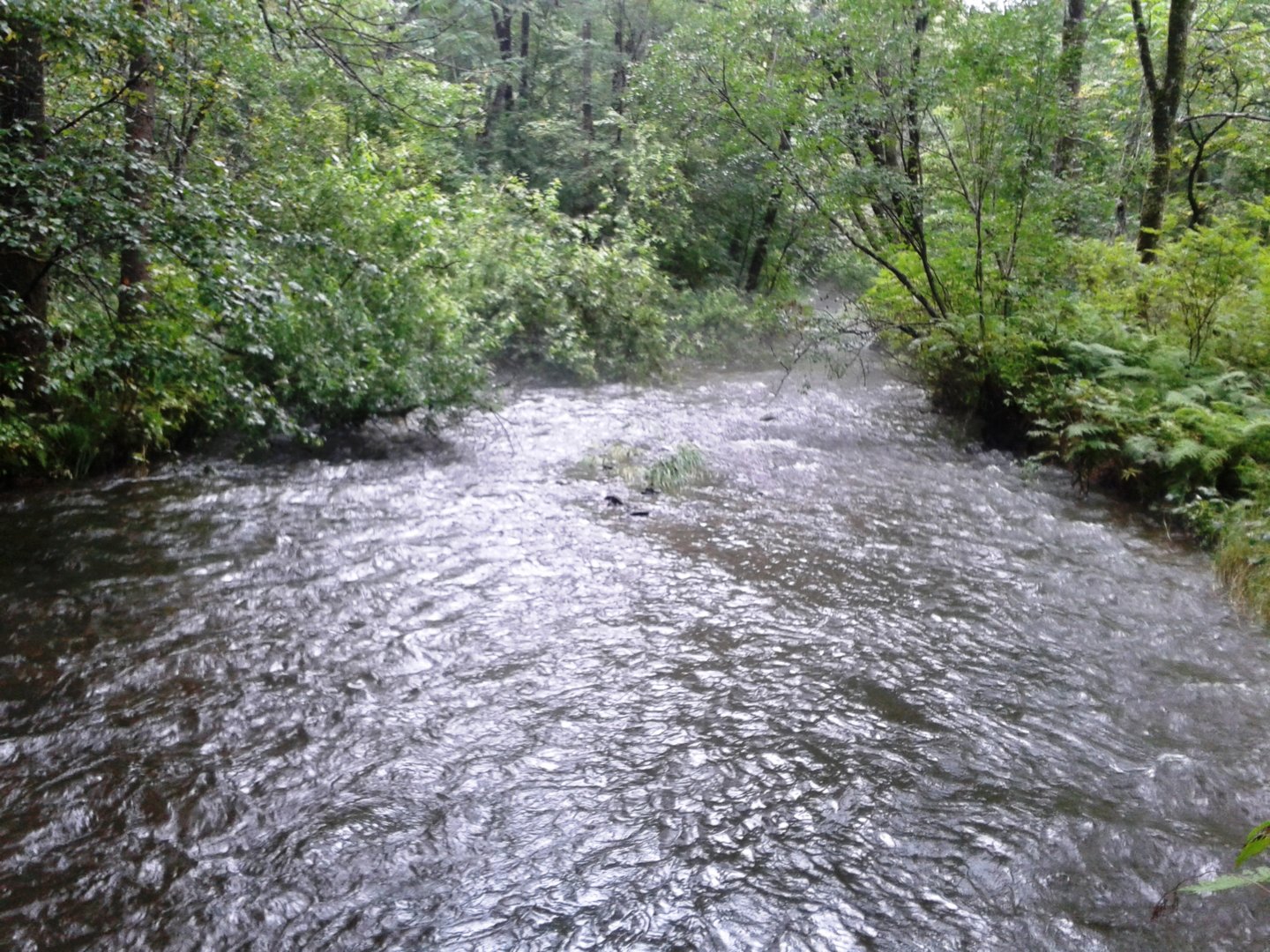 20200813_092411.jpg