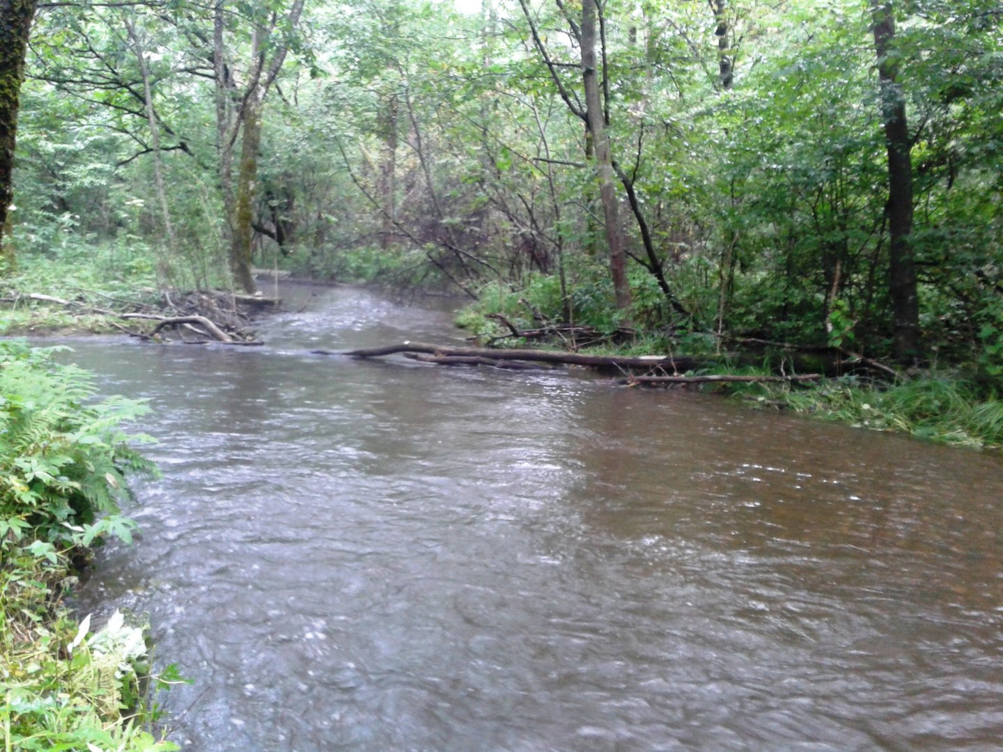 20200813_092435.jpg