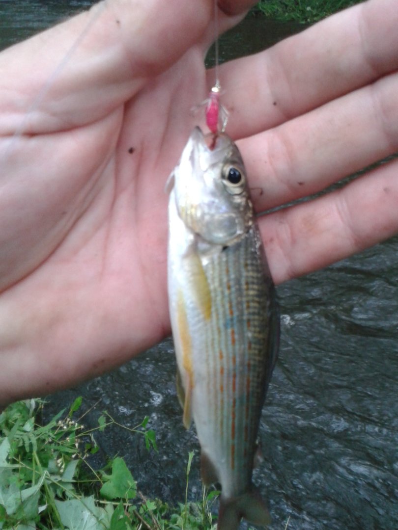 20200813_101730.jpg