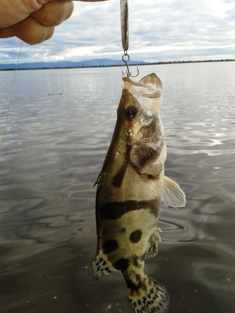 20200817_183356.jpg