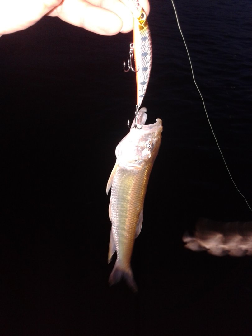 20200823_202939.jpg