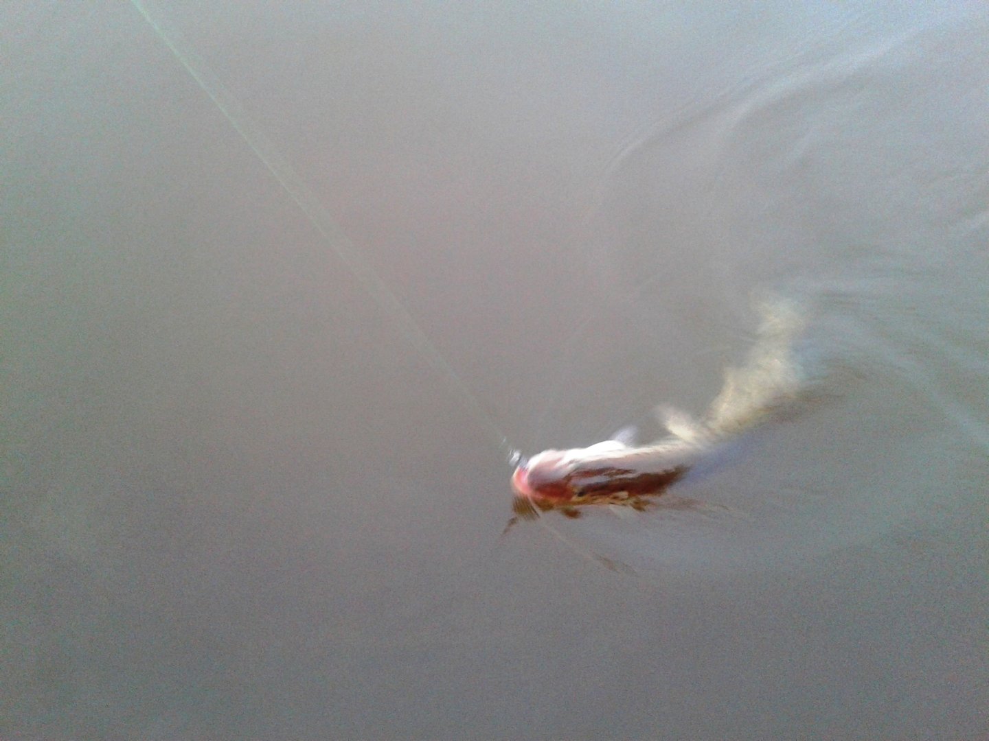 20200831_061905.jpg