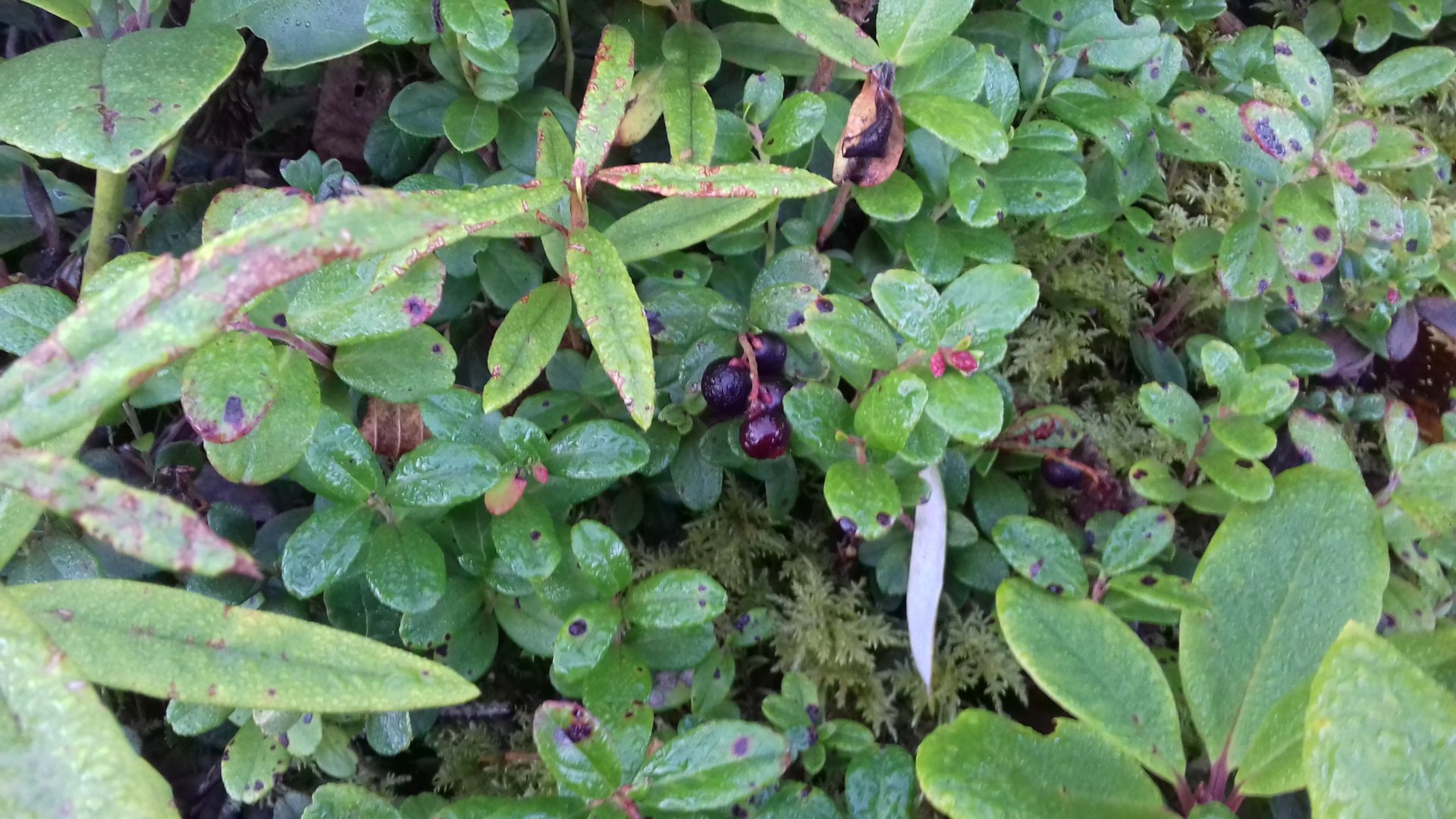 20200915_065307.jpg