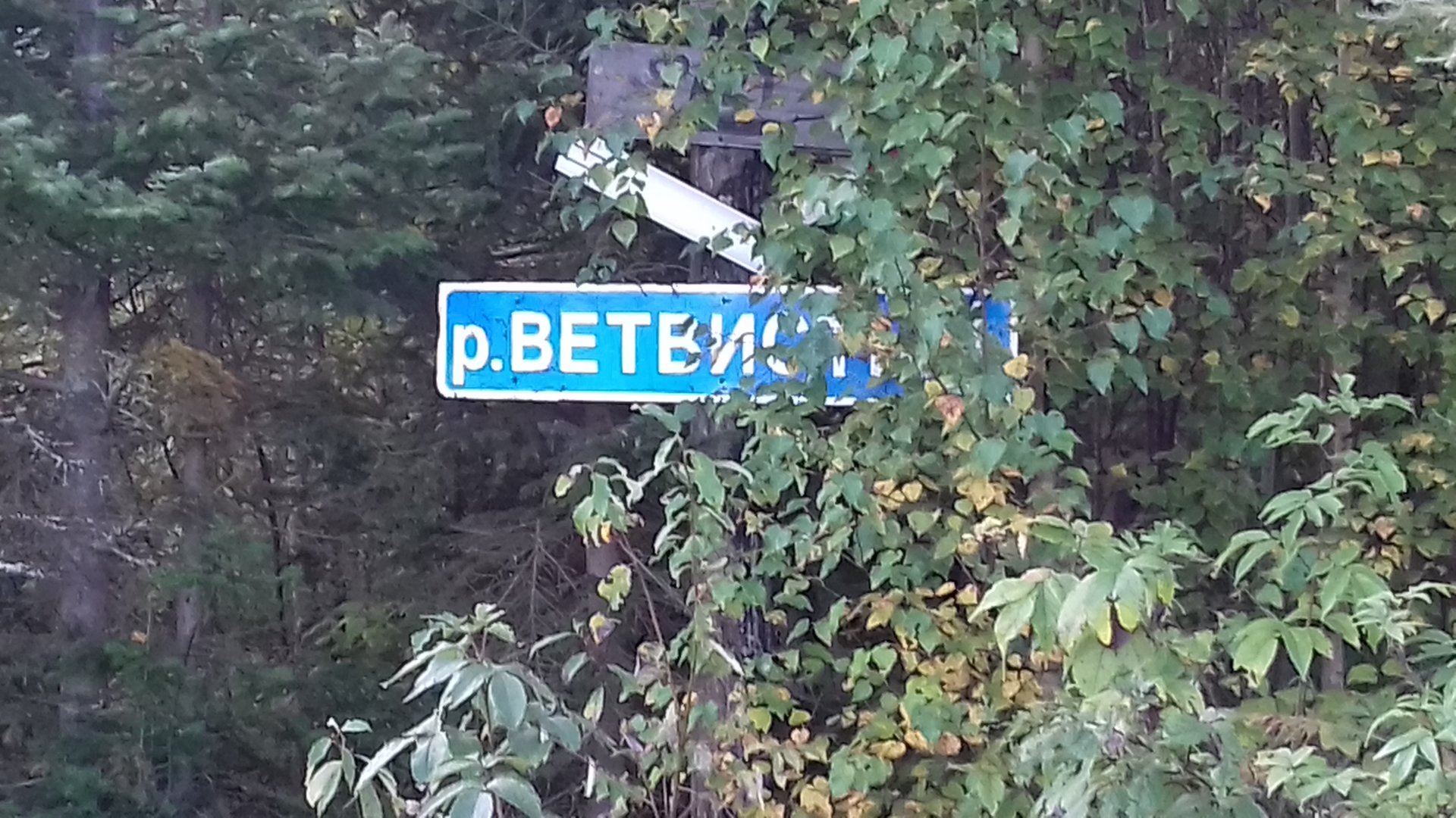 20200915_071144.jpg
