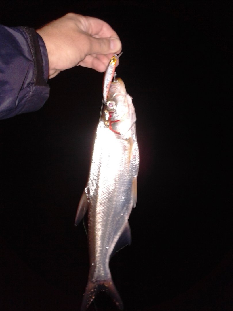 20200916_200254.jpg