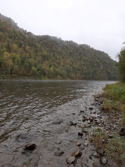 20200919_144555.jpg