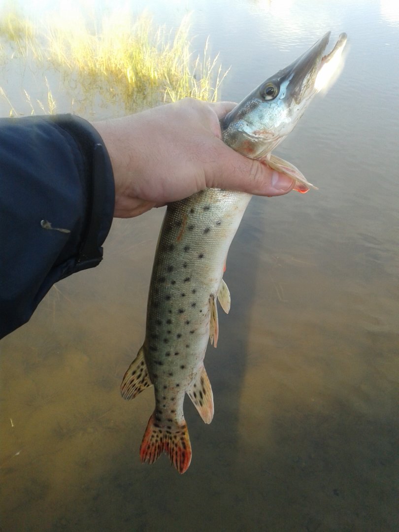 20200920_081214.jpg