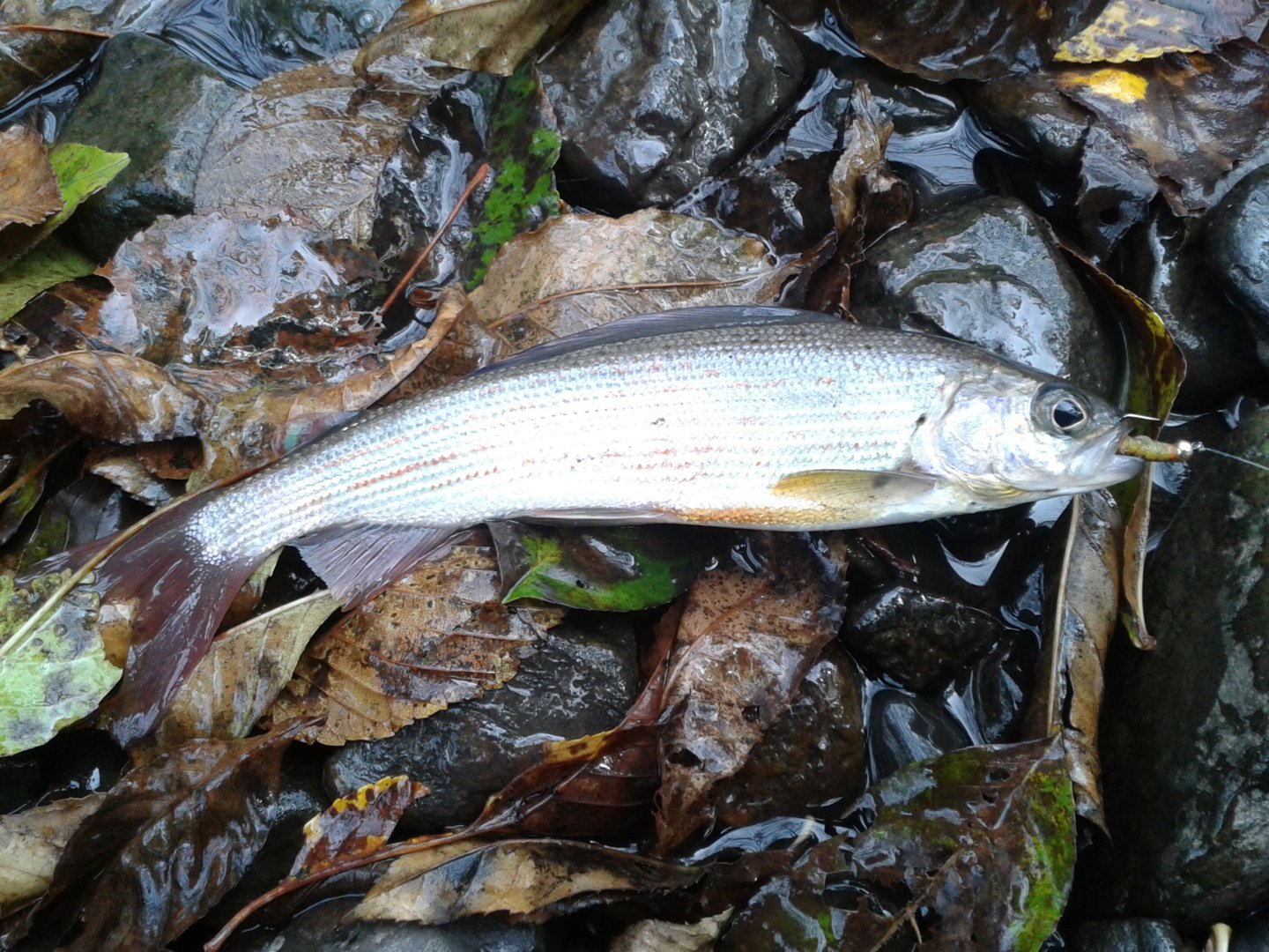 20200925_122229.jpg