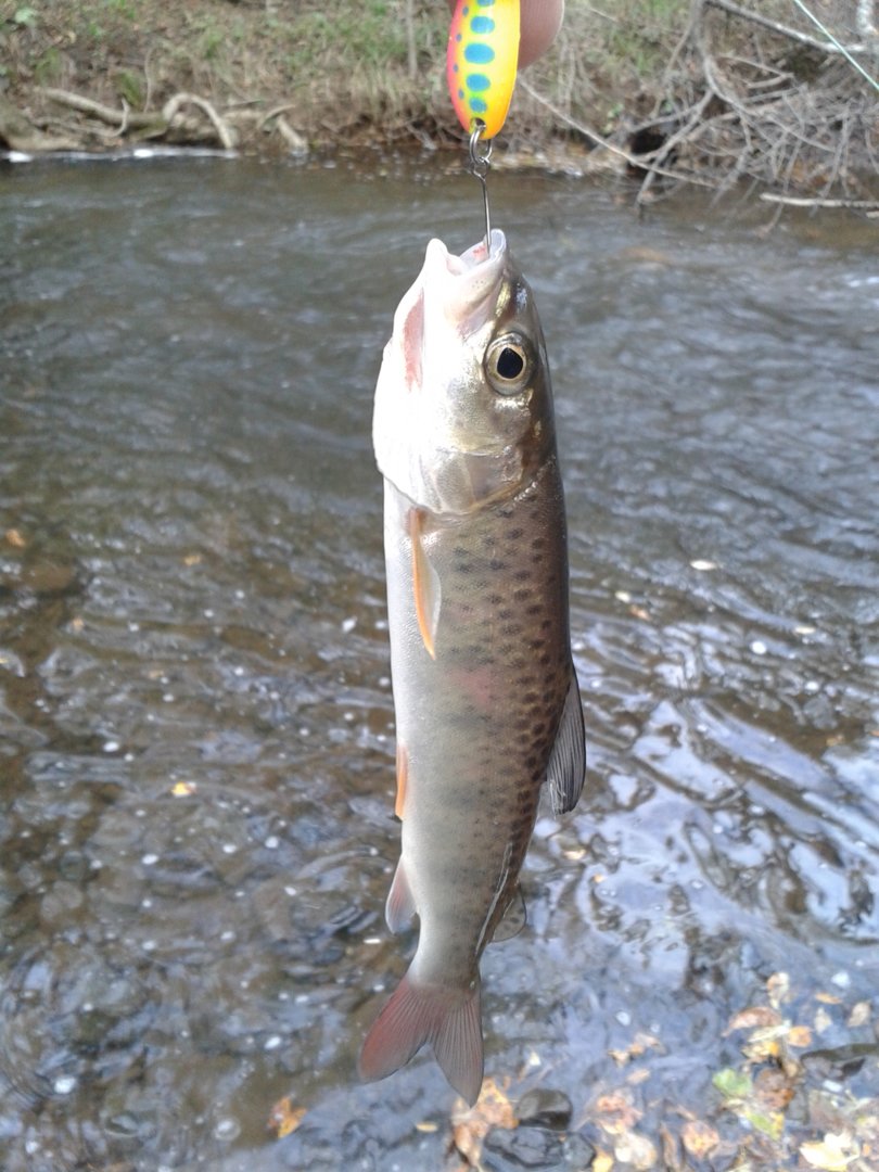 20200925_152732.jpg