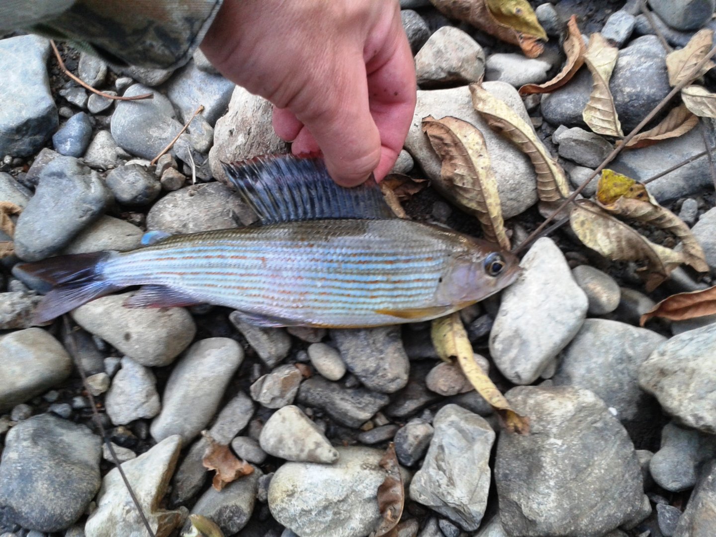 20200925_172337.jpg