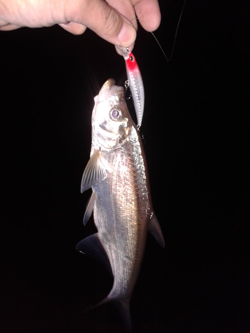 20200926_202047.jpg