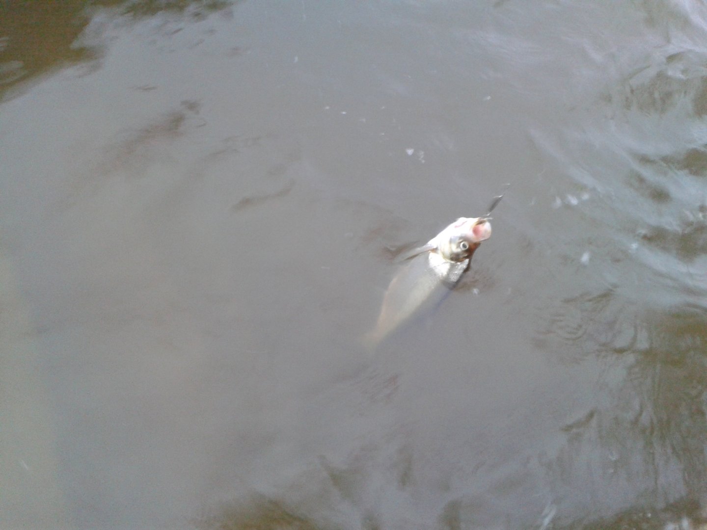 20200928_182423.jpg