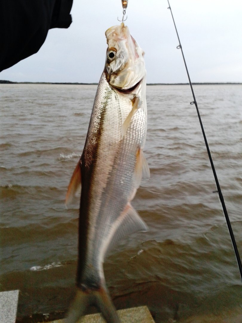 20200928_182519.jpg