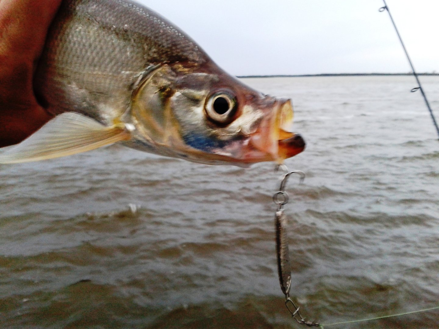 20200928_182556.jpg