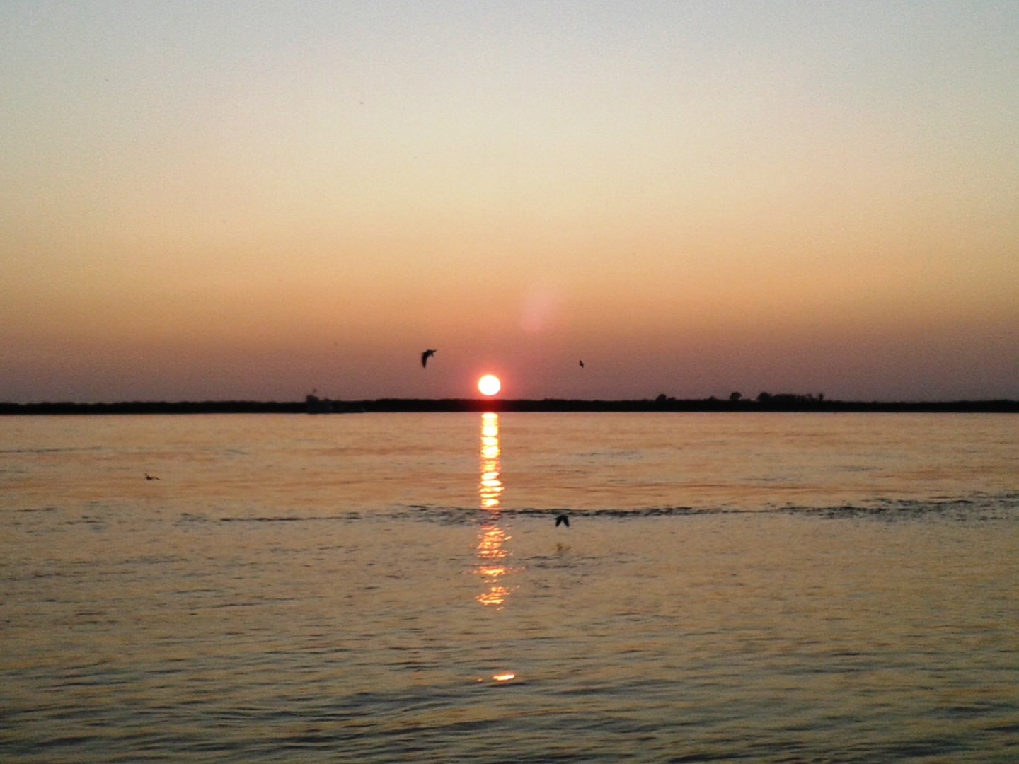 20200930_183423.jpg