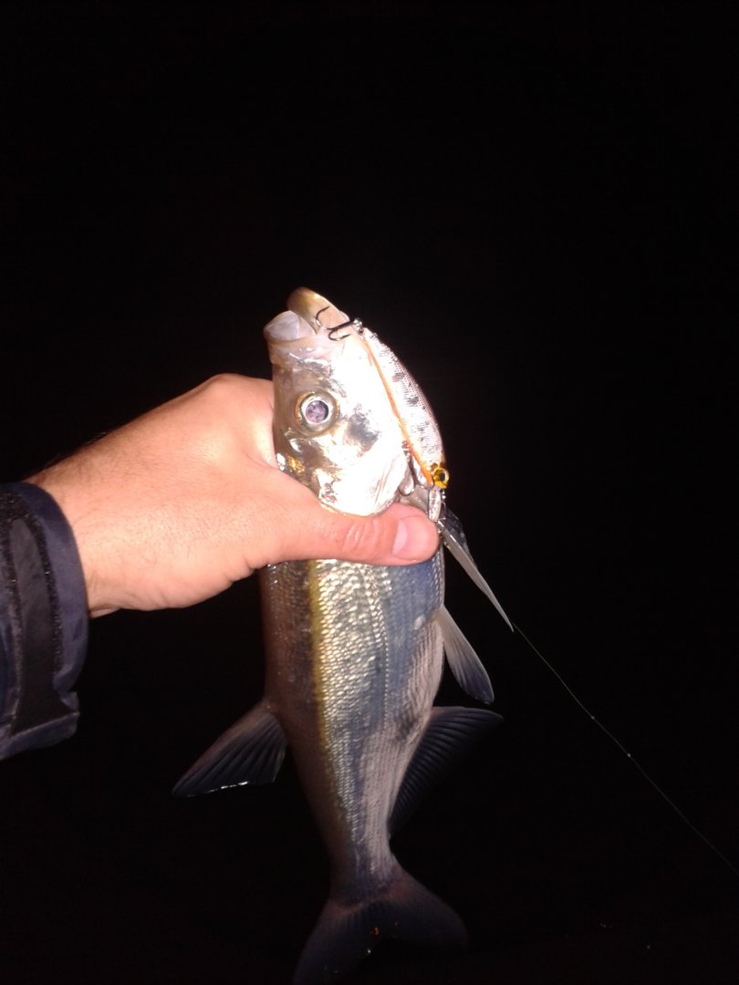 20200930_200953.jpg