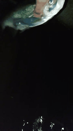 20200930_220254.gif