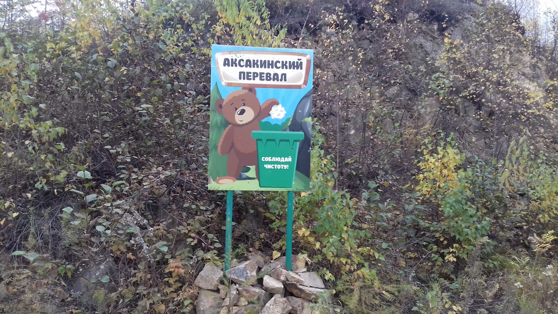 20201003_101720.jpg