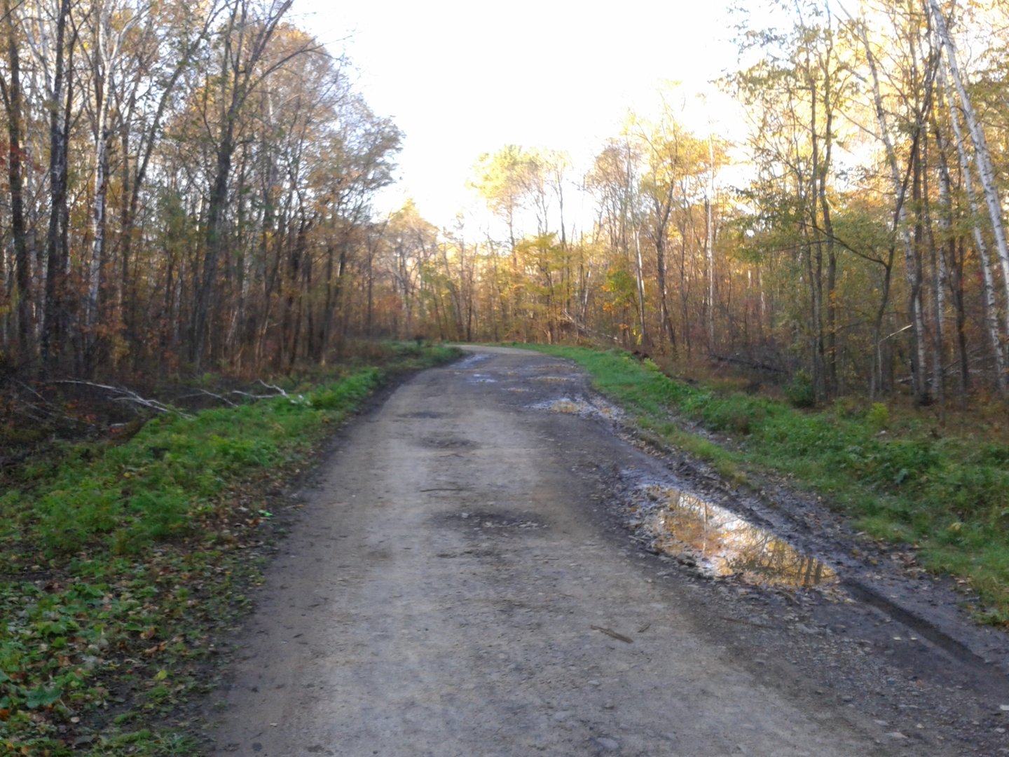 20201007_082047.jpg