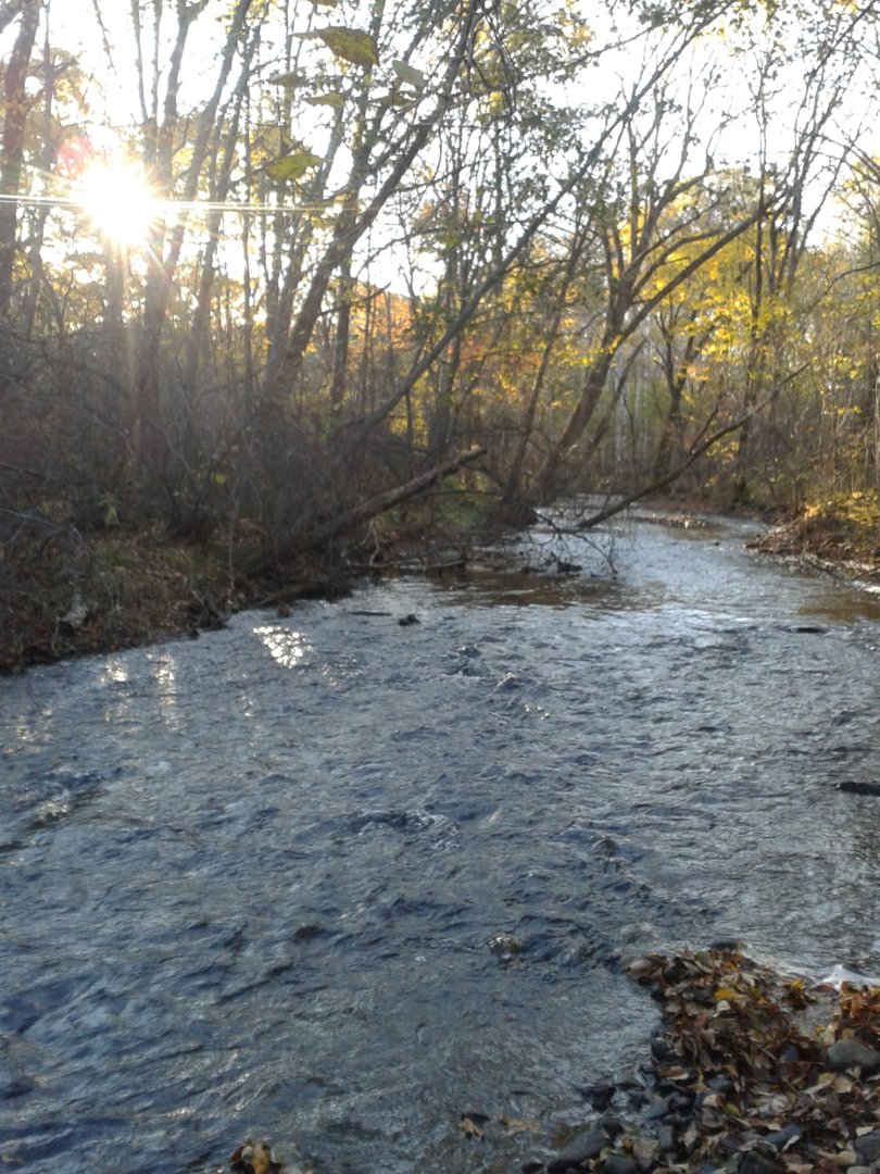 20201007_082611.jpg