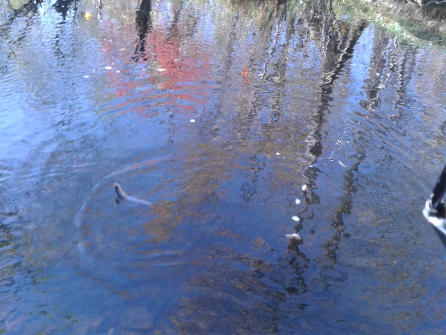 20201007_104019.jpg