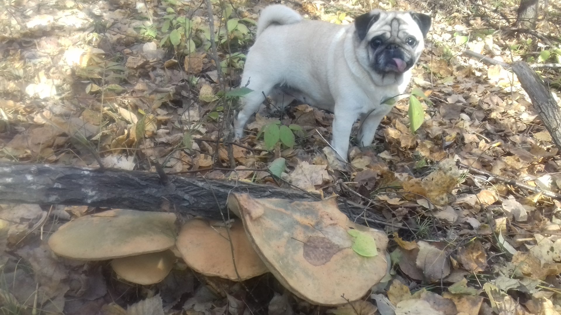 20201008_090850.jpg