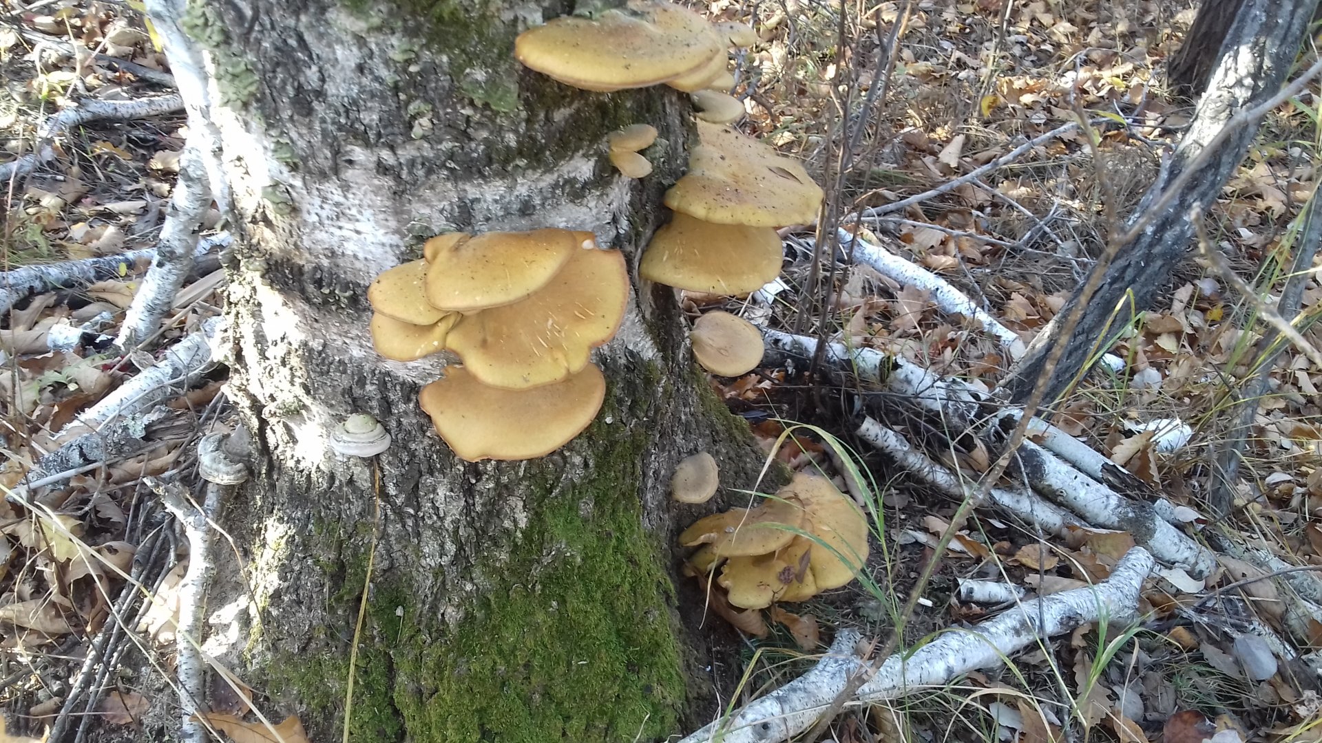 20201008_103641.jpg