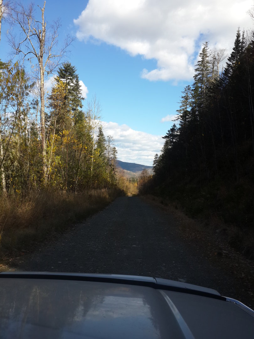 20201008_115303.jpg