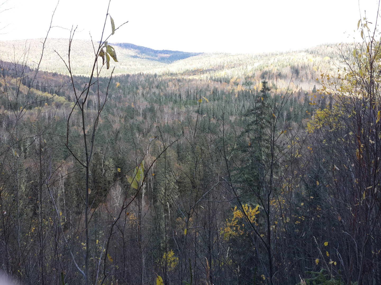 20201008_120208.jpg