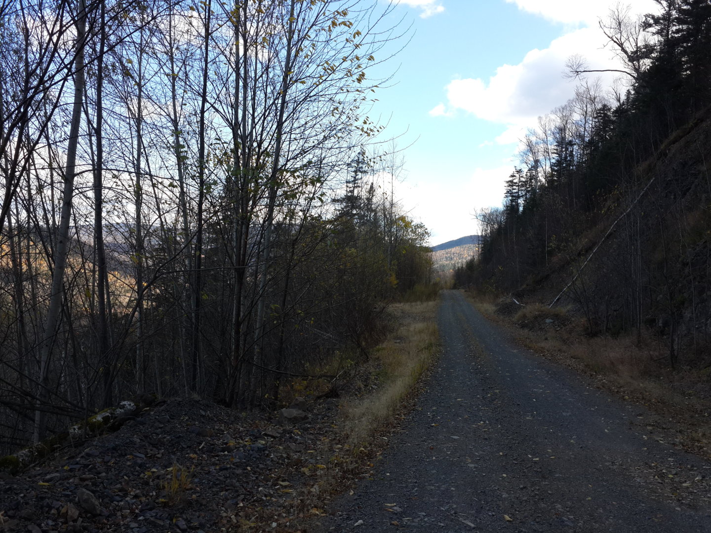 20201008_120226.jpg