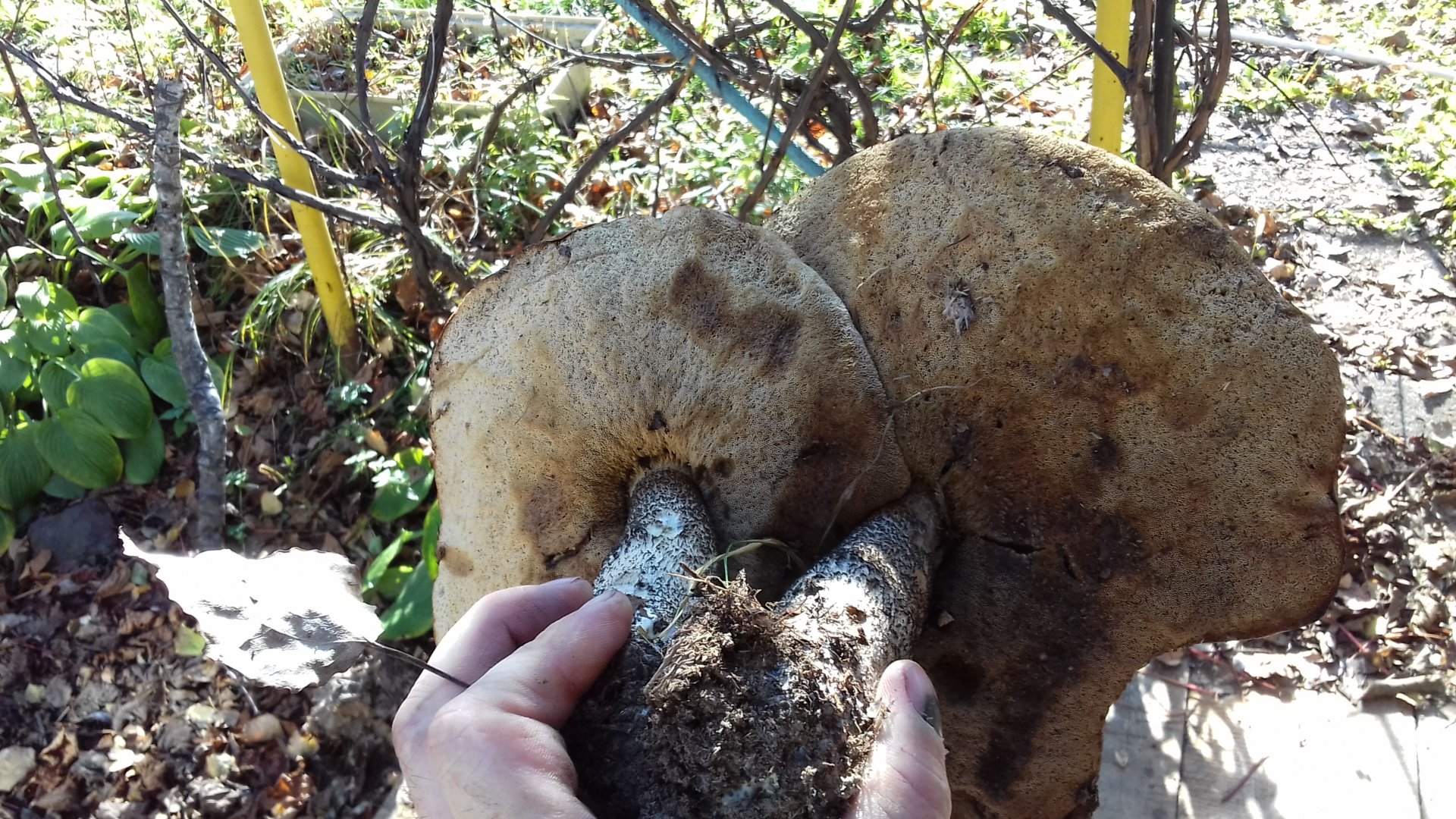 20201008_144212.jpg
