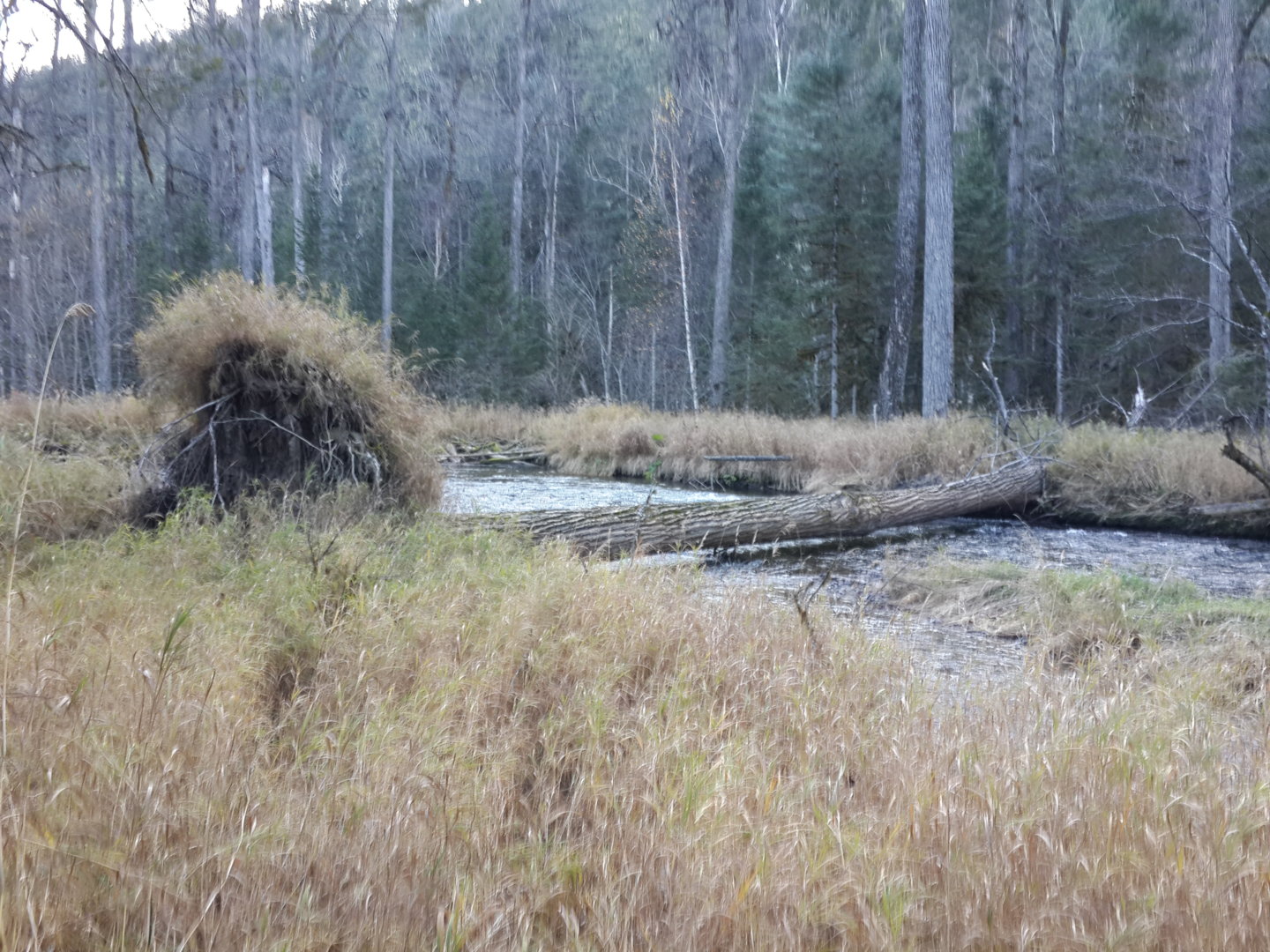 20201009_165343.jpg